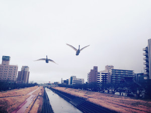 Photo_6