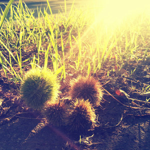 Picsart_1408553344566