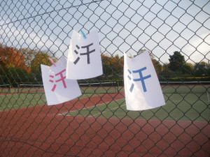 Tenniscourtnoase