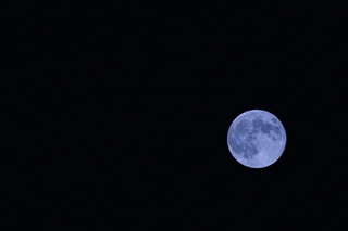 BLUE 2018 (9)