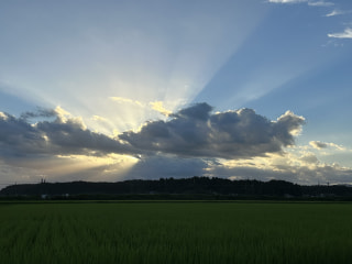 絶景かな 2024(1)