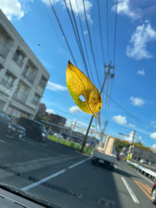 絶景かな 2024(14)