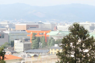 写真部　とり2017 (11)