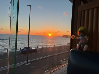 1月23日放送