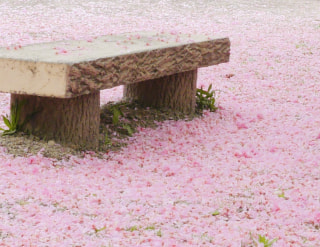 絶景かな 2024(10)