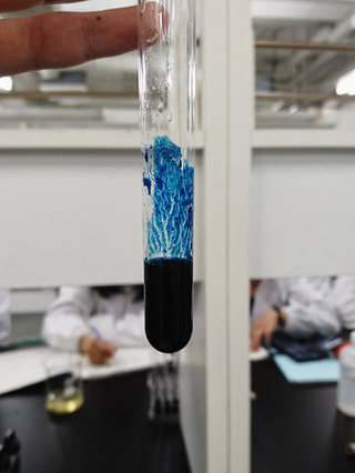 BLUE 2018 (11)