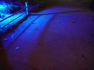BLUE018(3)