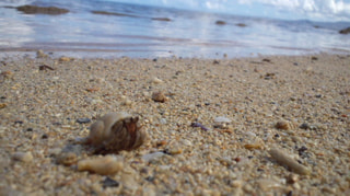 夏だ！海だ！さあBEACH ANGELだ！！２０１２　エントリー⑧
