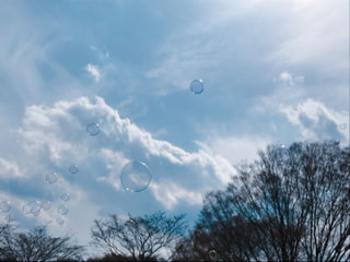 BLUE2018 (1)