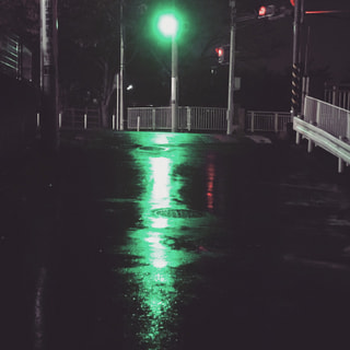 Green2017(30)