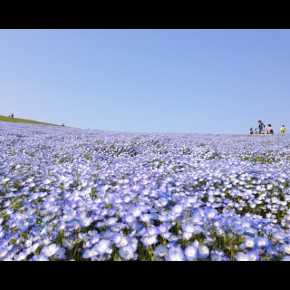 ５月ブルー2013　エントリー②