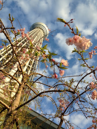 春の空2013　エントリー⑪
