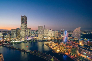 NITTEN ハナラボ 第255回「 横浜と日本の園芸文化 」