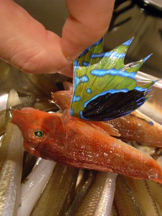 0309_togekanagashira_ide