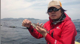 0415_kurakaketoragisu_shimoda
