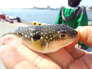 0428_kusafugu