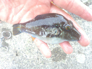 0507_kitamakura