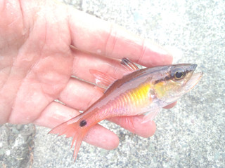 0507_nenbutsudai