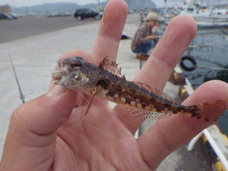 0709_asahianahaze