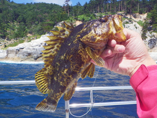 0807_takenokomebaru