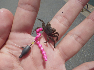 0826_kakubenkeigani