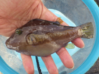 0930_kitamakura