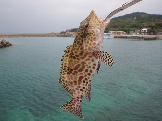 1030_kanmonhata