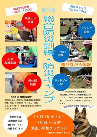1115stepcamp