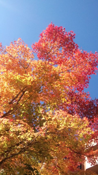 121108_1046