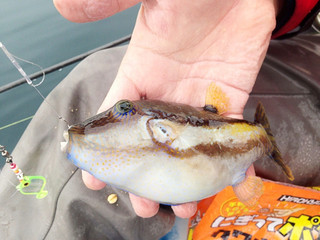 1215_kitamakura
