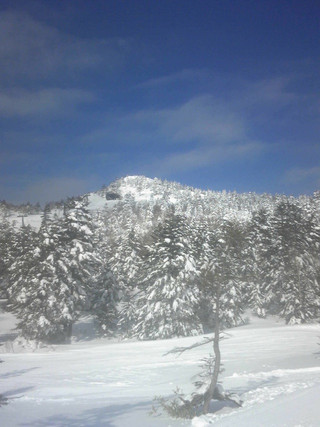140118kamagen2