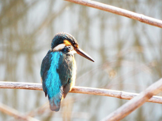 140201photo1