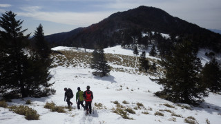 140203tozanbu12
