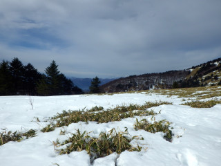 140203tozanbu20