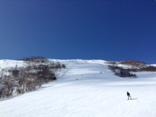 140301kamagen2