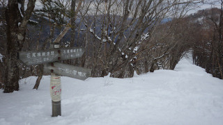 140309kumotori18