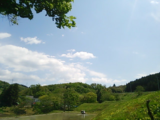 140531_kamagen1