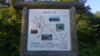 1470950624754