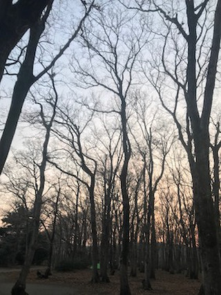 180303tom04