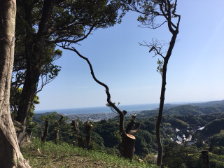 180514theburn_houkoku_nagagutu01
