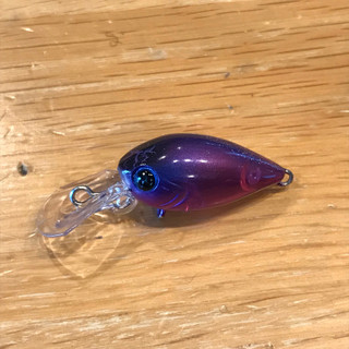 180818_lure_3 180818_lure_3