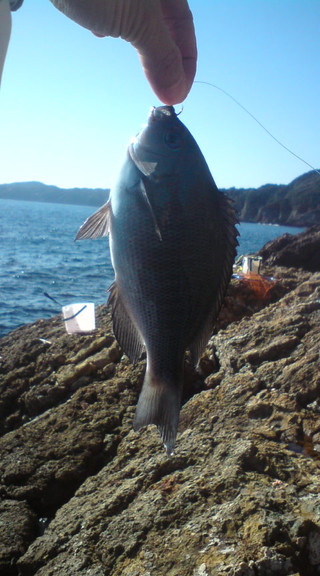 20110108131256