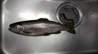 20110127092021