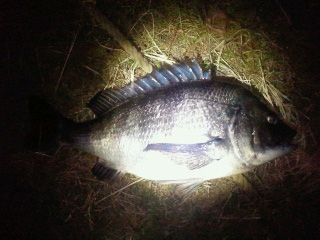 2011020505480000
