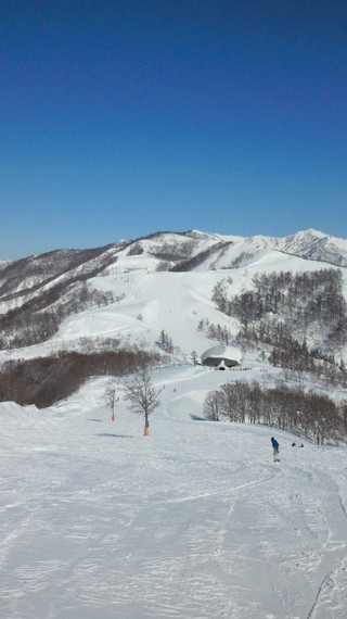 2011021613090011
