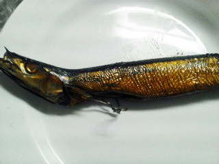 20110504205602