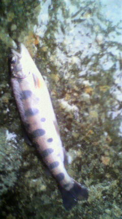 2011051216250000