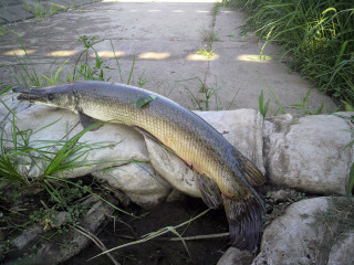 2011071616050000