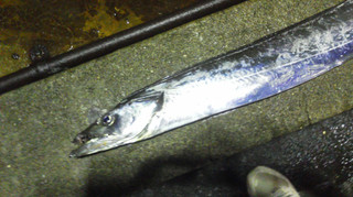 20111014192551