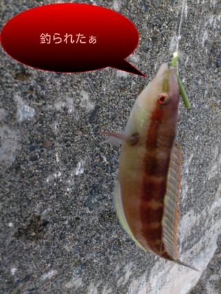 20120210044818